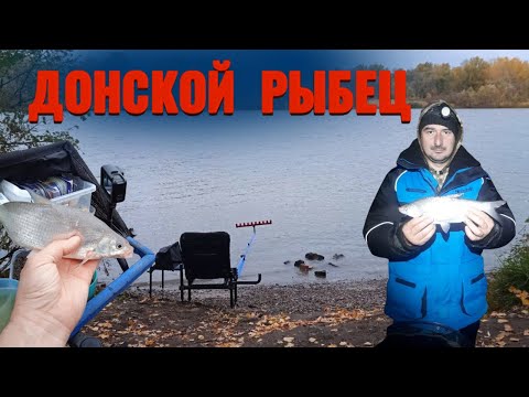 Видео: РЫБЕЦ-ВИМБА-СЫРТЬ. КАК И НА ЧТО МОЖНО ЛОВИТЬ РЫБЦА. ФИДЕРНАЯ РЫБАЛКА. РЫБАЛКА НА ДОНУ!