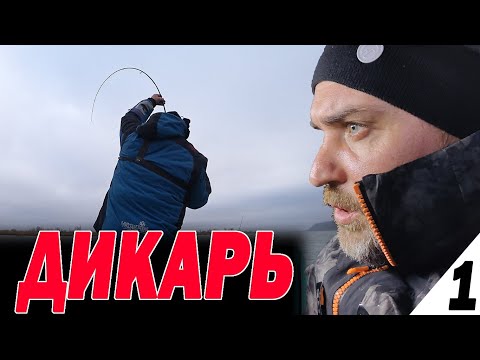 Видео: Взял пузырь, соль и на рыбалку. Не поймаю, не поем. ДИКАРЬ на Дону часть 1