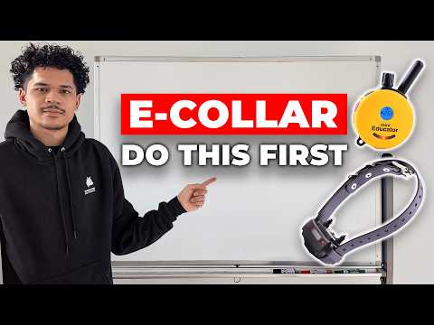 Видео: Сделайте эти 5 вещей, прежде чем использовать электронный ошейник