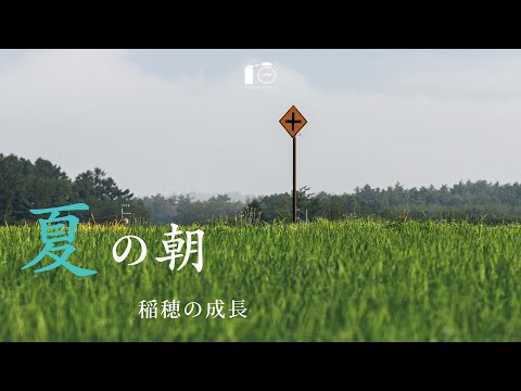 Видео: Переход японского пейзажа в летнее время