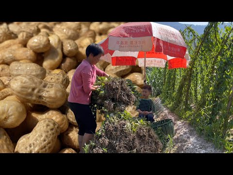 Видео: Вареный арахис в маринаде у бабушки, соленый и вкусный, кислый, острый и освежающий