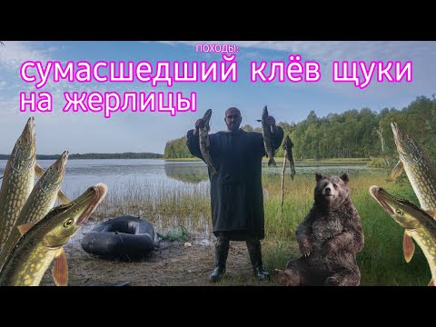 Видео: ПОХОДЫ: с трудом вынес СТОЛЬКО щуки. Рыбалка на жерлицы с пакрафтом