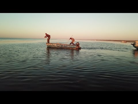 Видео: Қария мен теңіз. Арал теңізі туралы фильм / The Old Man And The Aral Sea