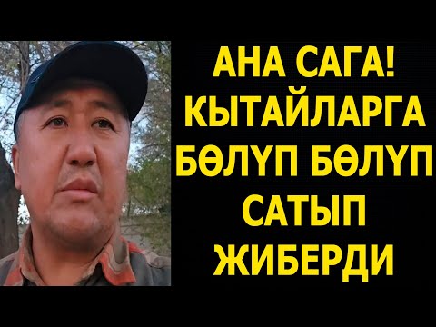 Видео: Кытайларга бүт сатып бүтүрдүк! Кечки кабарлар 24- октябрь 2025 - жыл