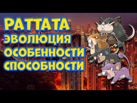 Видео: РАТТАТА. ЭВОЛЮЦИЯ, ОСОБЕННОСТИ, СПОСОБНОСТИ
