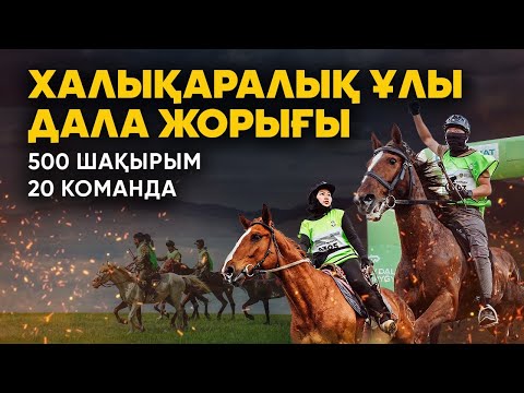 Видео: Халықаралық "Ұлы дала жорығы". 500 шақырымдық марафон-бәйге. ЖУЫРДА