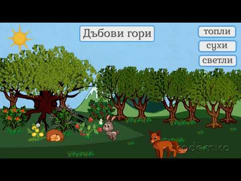 Видео: Животът в широколистните гори - Човекът и природата 4 клас | academico