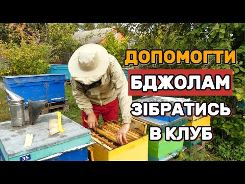 Видео: Коли сформувати гніздо бджіл на зиму, і як
