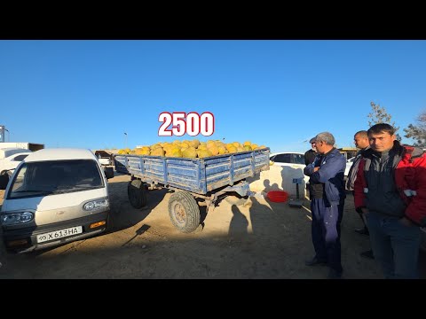 Видео: 29 октября 2025 ЭЛЛИККАЛА КИРККИЗОБОД ДЕХКОН БОЗОР НАРХЛАРИ