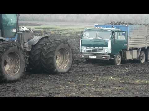 Видео: SanyaBARS. Возка сахарной свеклы.