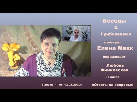 Видео: Вопросы и ответы. Выпуск № 4. Беседы с грибоведами.