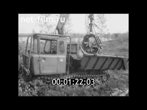 Видео: 1971г. Суккозерский леспромхоз. Муезерский район Карелия.