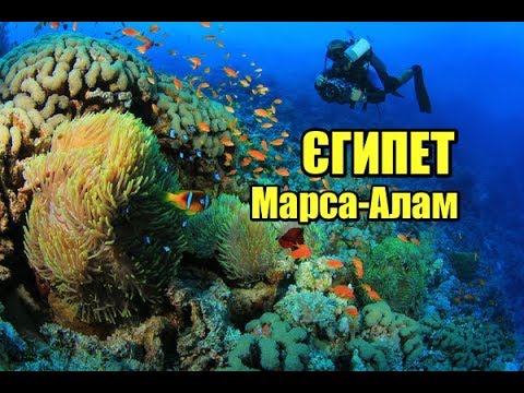 Видео: Єгипет, Марса-Алам | Феєрія мандрів