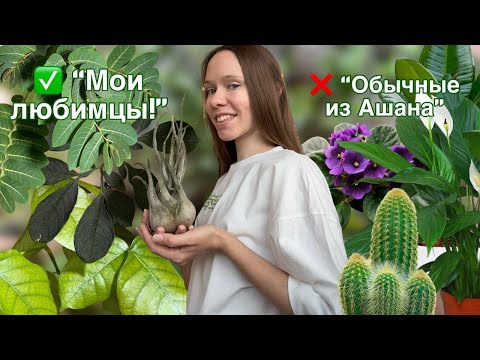 Видео: Растения, которых ты не найдёшь в Ашане — мои ТОП 10 экзотических растений