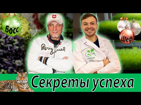 Видео: Сити ферма  Зеленого Шефа. Пшеница. Витграсс.