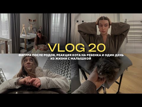 Видео: vlog 20 / про фигуру после родов и новый гардероб / реакция кота на ребенка / один день с малышкой