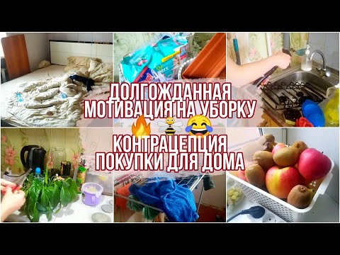 Видео: Долгожданная МОТИВАЦИЯ НА УБОРКУ!! 🔥🐝😂 Контрацепция/ Покупки для дома🏡