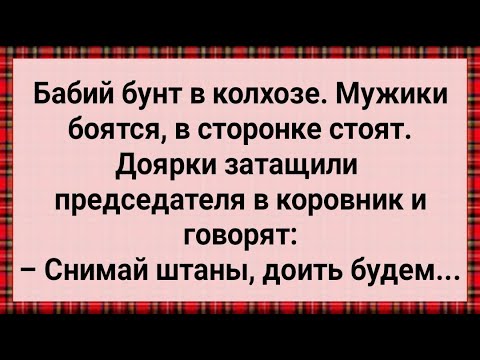 Видео: Бабий Бунт в Колхозе! Как Доярки Председателя Доили! Сборник Свежих Анекдотов! Юмор!