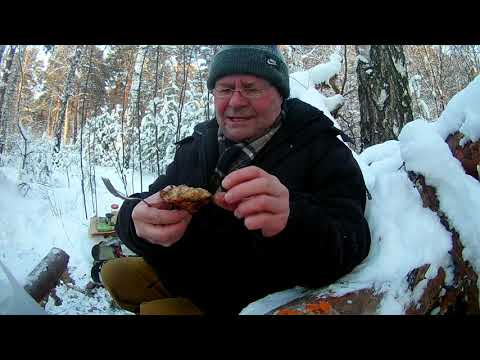 Видео: готовке в лесу и с наступающим Новым годом !