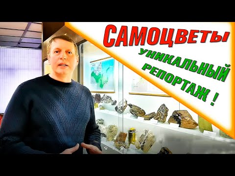 Видео: Музей Самоцветы. Уникальный репортаж о натуральных камнях !