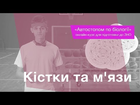 Видео: Кістки та м'язи – Підготовка до ЗНО – Біологія