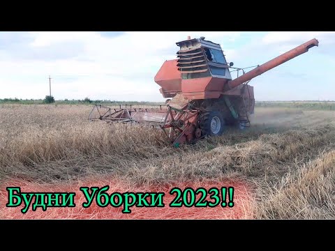 Видео: Будни Уборки 2023! Комбайн Нива ! Газ 4301! Уборка полным ходом....