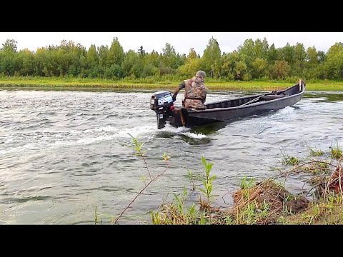 Видео: ОХОТА НА УТКУ / МАССОВО ПТИЦА ПОЛЕТИТ С ПЕРВЫМИ ЗАМОРОЗКАМИ / НА ВТОРОЙ ДЕНЬ ТОЛЬКО ПОВЕЗЛО.