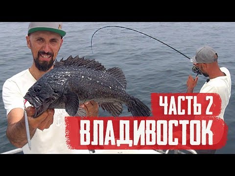 Видео: АКУЛА и морской ОКУНЬ во Владивостоке! СТАРБЛОГ