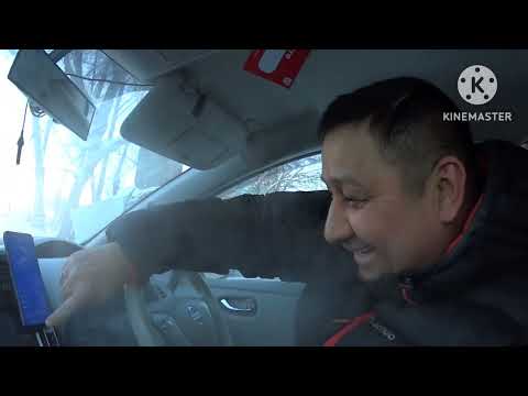 Видео: Ниссан лиф. замёрз - 37. что делать?