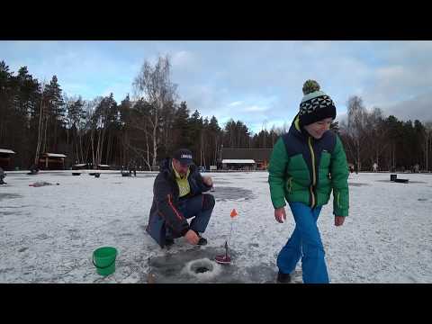 Видео: РЫБАЛКА. ЖЕРЛИЦЫ НА ЩУКУ.Первая рыбалка 2020.