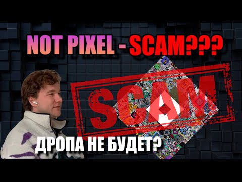 Видео: NOT PIXEL ВСЕХ ЗАСКАМИЛИ??? КОГДА ДРОП?