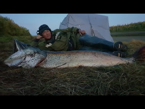 Видео: Приключения Румын в Якутии -6 часть! Aventurile romanilor in Iacutia 6 part! Yakutia