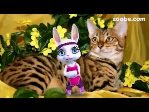 Видео: zoobe зайка а может да