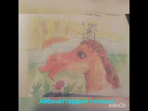 Видео: Айбанаттардын талашы