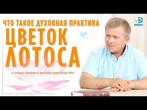 Видео: Что такое Цветок Лотоса
