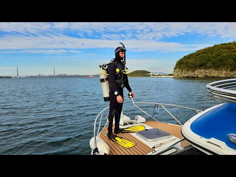 Видео: Дайвинг во Владивостоке / Русский остров, бухта Парис /Колонии моллюсков / октябрь 2025