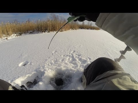 Видео: С блесной за окунями по озеру Таватуй
