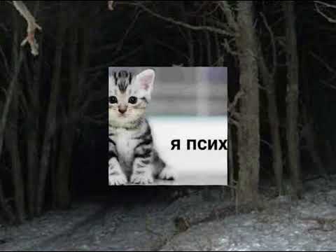 Видео: плейлист, но ты психически нестабилен