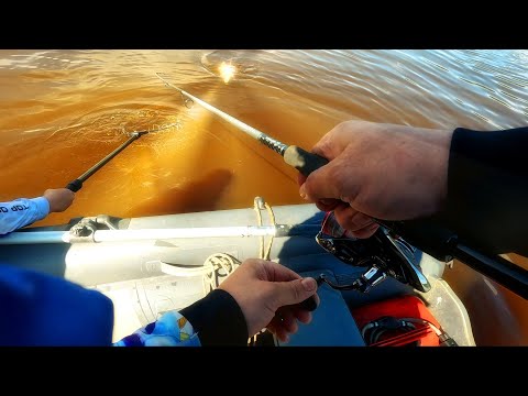 Видео: Рыбалка в Нижневартовске, протока Пасол