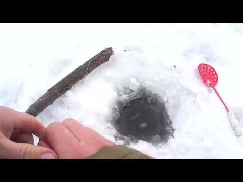 Видео: ПЕРВЫЕ ПЕРЕМЁТЫ НА ЧУЛЫМЕ. И ПЕРВЫЙ НАЛИМ. ОБКАТКА СНЕГОХОДА.