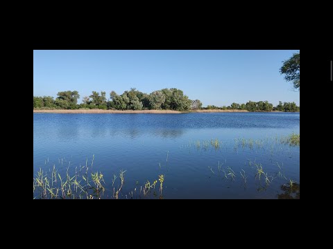 Видео: Уральск - Дарьинск (после паводка) 09.06.2024