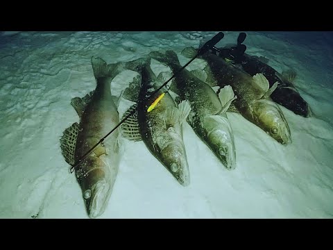 Видео: КАМА.СУДАК. БЕЛЬ/Рыбалка с Эхолотом ПРАКТИК 8/Сорочьи ГОРЫ
