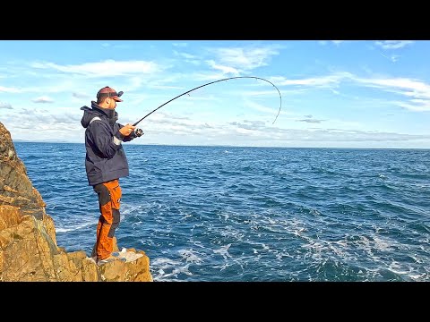 Видео: Рыбалка со скал на самой южной точке Шотландии | Рыбалка со спиннингом в Великобритании