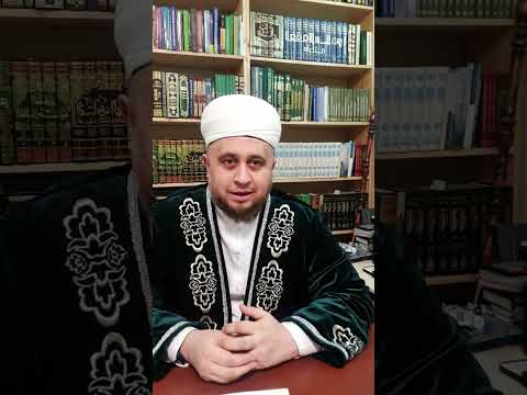 Видео: ОТВЕТЫ НА ВАШИ ВОПРОСЫ