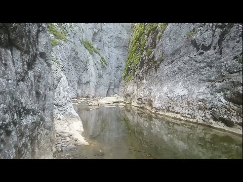 Видео: Из Узлового в Сахрай. 1. Уривок.