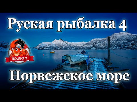 Видео: Русская рыбалка 4 Норвежское море  Морская донная с мертвой рыбой