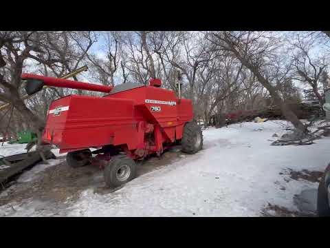 Видео: Массовые холода в начале 2022 года