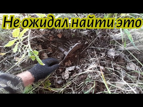Видео: Неожиданная находка на полях.