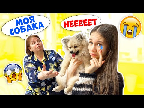 Видео: ПРОЩАЕМСЯ с Щенком👉 Отдаём БАБУШКЕ?? 😱