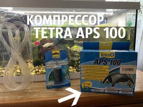 Видео: КОМПРЕССОР TETRA APS 100 / СТОИТ ЛИ ЕГО ПОКУПАТЬ?